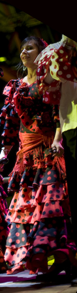 spaanse thema feest flamencgo workshop 